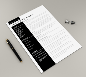 Resume for higher management position in a mechanical/consultant industries application* | Lebenslauf-Design von lionx