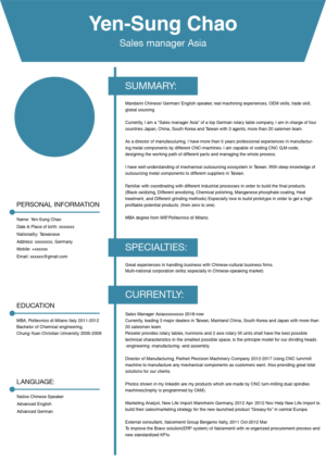 Resume for higher management position in a mechanical/consultant industries application* | Lebenslauf-Design von Maxo-Biz