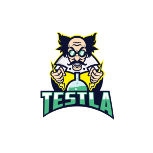 Testla | Logo-Design von Graphic Bricks