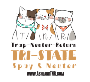 T-shirt for spay and neuter clinic | T-Shirt-Design von Alaya