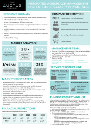 The Auctus Group Executive Summary Infographic | Flyer Design by AnneWanjiku