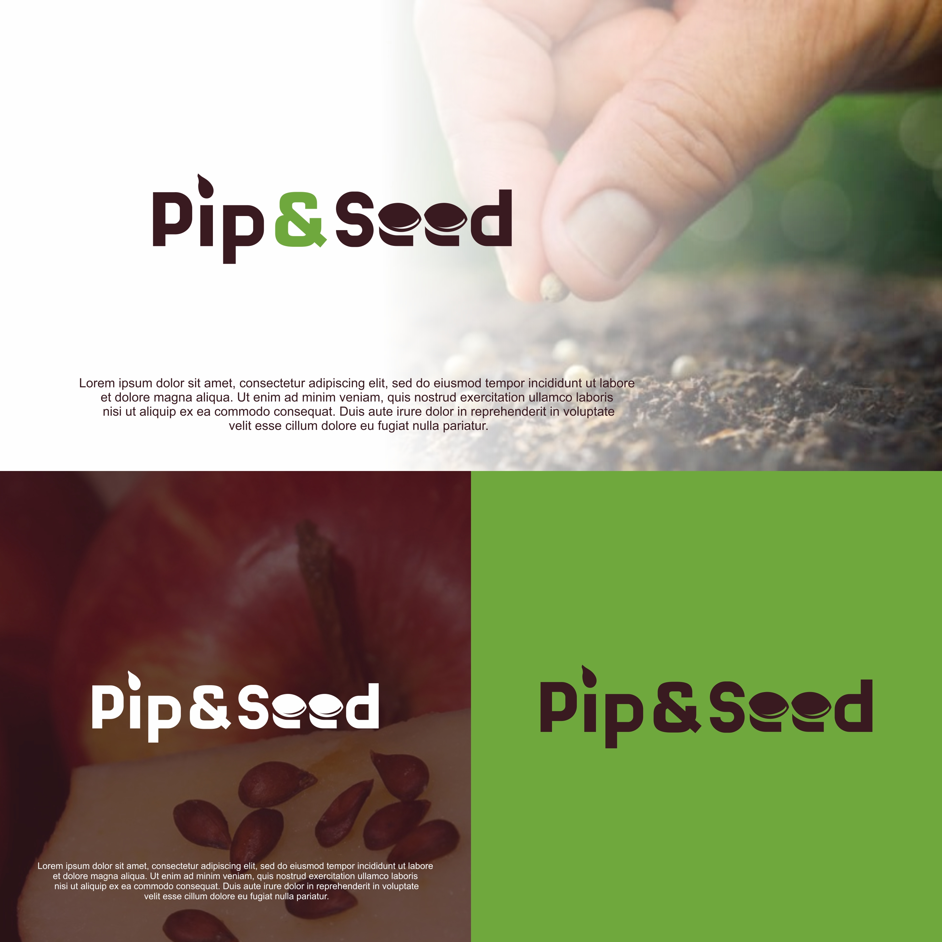 Logo Design by Farqaleit™ for Pip & Seed | Design #23088365