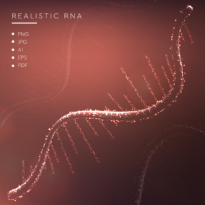 RNA sequence design | Graphic Design by Luvinda