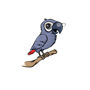 Funny Cartoon Image for African Grey Parrot  | Graphic Design by Veronika K.