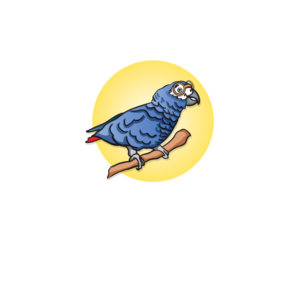 Funny Cartoon Image for African Grey Parrot  | Graphic Design by Samantha Ward Design