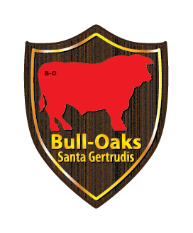 Logo Design by Frank Brittner Graphics for Bull-Oaks | Design #23371000