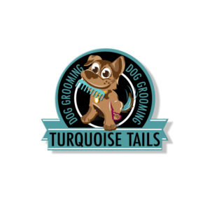 Turquoise Tails | Logo Design by Dennis Jackson Design