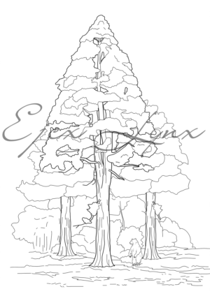 Line drawings for colouring for 2-5-year-old children: Forests, trees and animals | Grafik-Design von ejcx