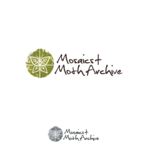 Mosaics + Moth Archive | Logo Design by iamrady