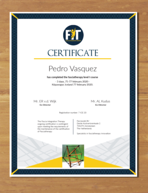 redesing professional certificate | Graphic Design by MNM