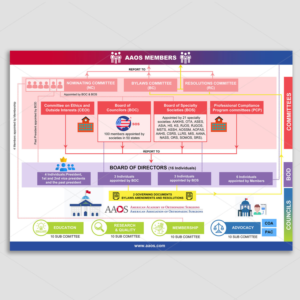 How AAOS works! a view of the innerworkings of a national medical specialty society | Infografik-Design von DA.