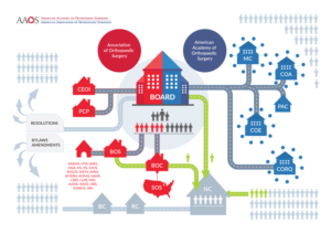 Infographic Design by fernandasuzk