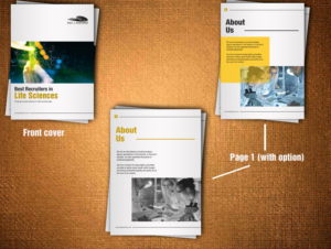 Brochure Design by rug