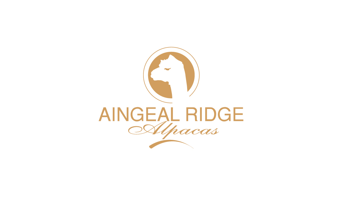 Logo Design by GODDREAMCREATION for Aingeal Ridge Alpacas | Design #24769423