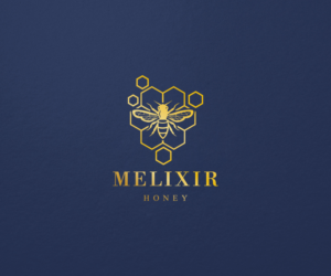 Melixir | Logo Design by step forward 2