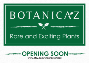 Opening Soon Sign for New Rare Plant Business | Signage Design by JK18