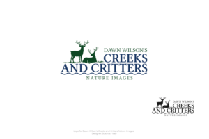 Dawn Wilson's Creeks and Critters Nature Images | Logo Design by InkThink by Scaurus