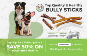 Bully Sticks Club Postcard Design  | Postkarten-Design von Hristo Itchov