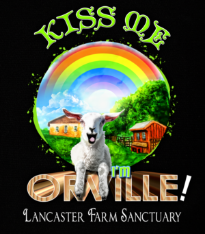 Farm Sanctuary Shirt Design - Baby Sheep | T-shirt Design by Light Hand Design