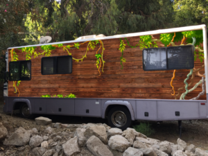 RV (recreational vehicle) Forest trees or Jungle vine wrap  | Car Wrap-Design von FutureDesigne