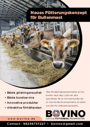 Landwirtschaft neues Fütterungskonzept für Bullenmast braucht ein einseitiger Flyer* | Flyer Design by DesignART