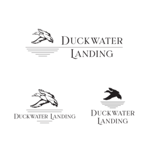 Duckwater Landing | Logo Design by Samantha Ward Design