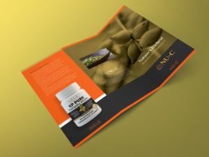 Design a tri-fold brochure for natural vitamin C business. | Flyer Design by banedsgn