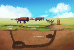 Prairie Dog Tunnels - an underground illustration | Illustration Design by Pudja Pratama Sakti