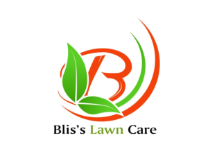 Logo Design by Ebizeo for BLIS Family, LLC | Design #25775195