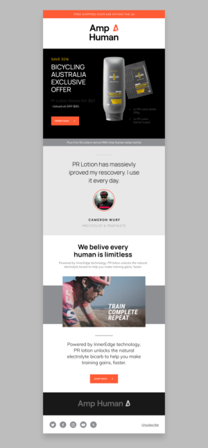 Email Marketing Design by Dingo