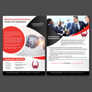 Design a Marketing Brochure for IT Security Solution | Flyer Design by Schöpfer