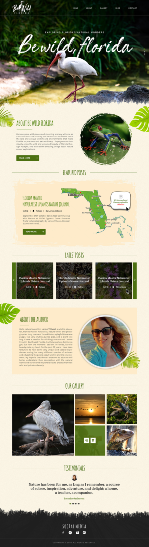 Be Wild Florida Business Website Branding | WordPress-Design von SAI DESIGNS