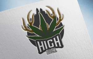 HighBuck | Logo Design by SSPP