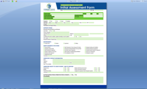 Community Choice Home Care-Nursing Assessment Form | Word Template Design by nng