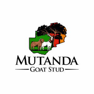 Mutanda Goat Stud | Logo Design by luckdesign