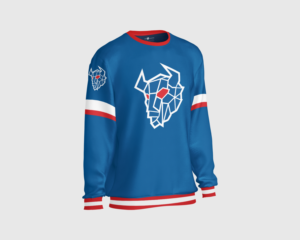 Buffalo Football Long Sleeve/T Shirt | T-shirt Design by Rookie Design