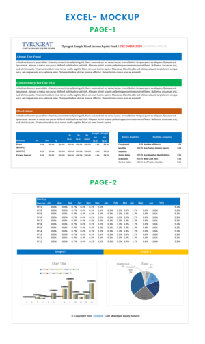 FUNDS MANAGEMENT TEMPLATE DESIGN | Graphic Design by Expert Designer