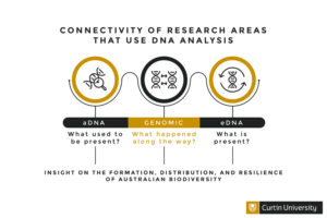 Gaphic  explaining connectivity of research  areas that use DNA analysis | Grafik-Design von Elizaveta M