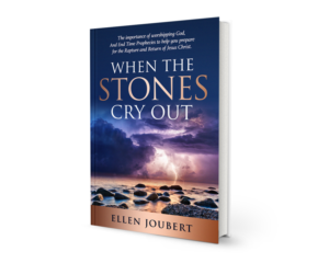 Book Cover in a 6x9 inches size for WHEN THE STONES CRY OUT | Buchumschlag Design von espacio_M