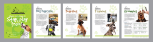 Dog Daycare Facility needs a New Doggo welcome packet! | Graphic Design by apolgv