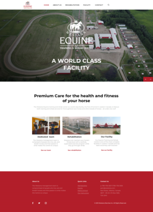 Web Design by Dewitrik for this project | Design #26510097