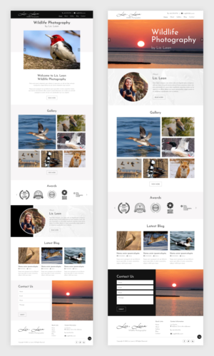 Wildlife photographer Website | Web Design by Starlyn DS