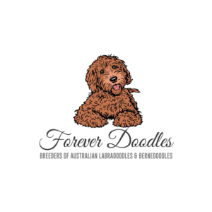 Version 1: 'Forever Doodles' Version 2: 'Forever Doodles' and 'Breeders of Australian Labradoodles & Bernedoodles' | Logo-Design von ddnsycrowd