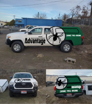 Pest control truck wrap | Car Wrap Design by Bear Studio