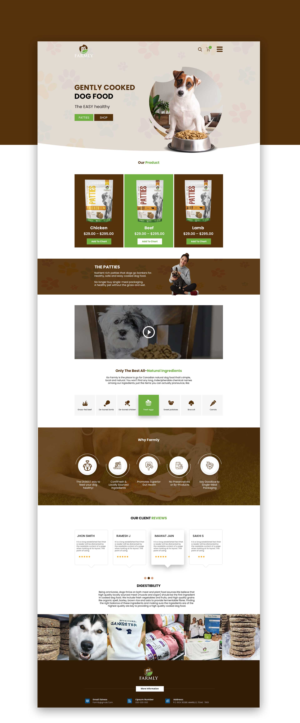 Web Design for WP & Woo Commerce | Web Design by lemosys infotech