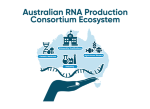 Australian RNA Production Consortium Ecosystem | Grafik-Design von Rickyy