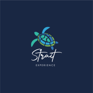 Logo Design by ThiagoB