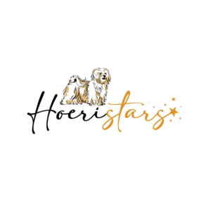 Hoeristars or Höri Stars or HS (Stars that fell from the sky) | Logo-Design von geni