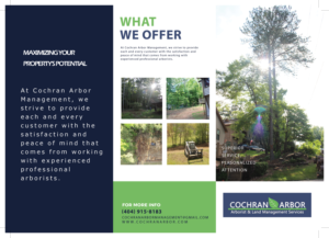 Brochure Design by Sandip 6 for Cochran Arbor Management | Design #27116676