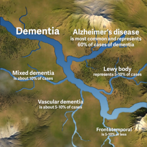 Graphic of Rivers with Tributaries -  types of Dementia for American Indian Audience | Graphic Design by Hristo Itchov